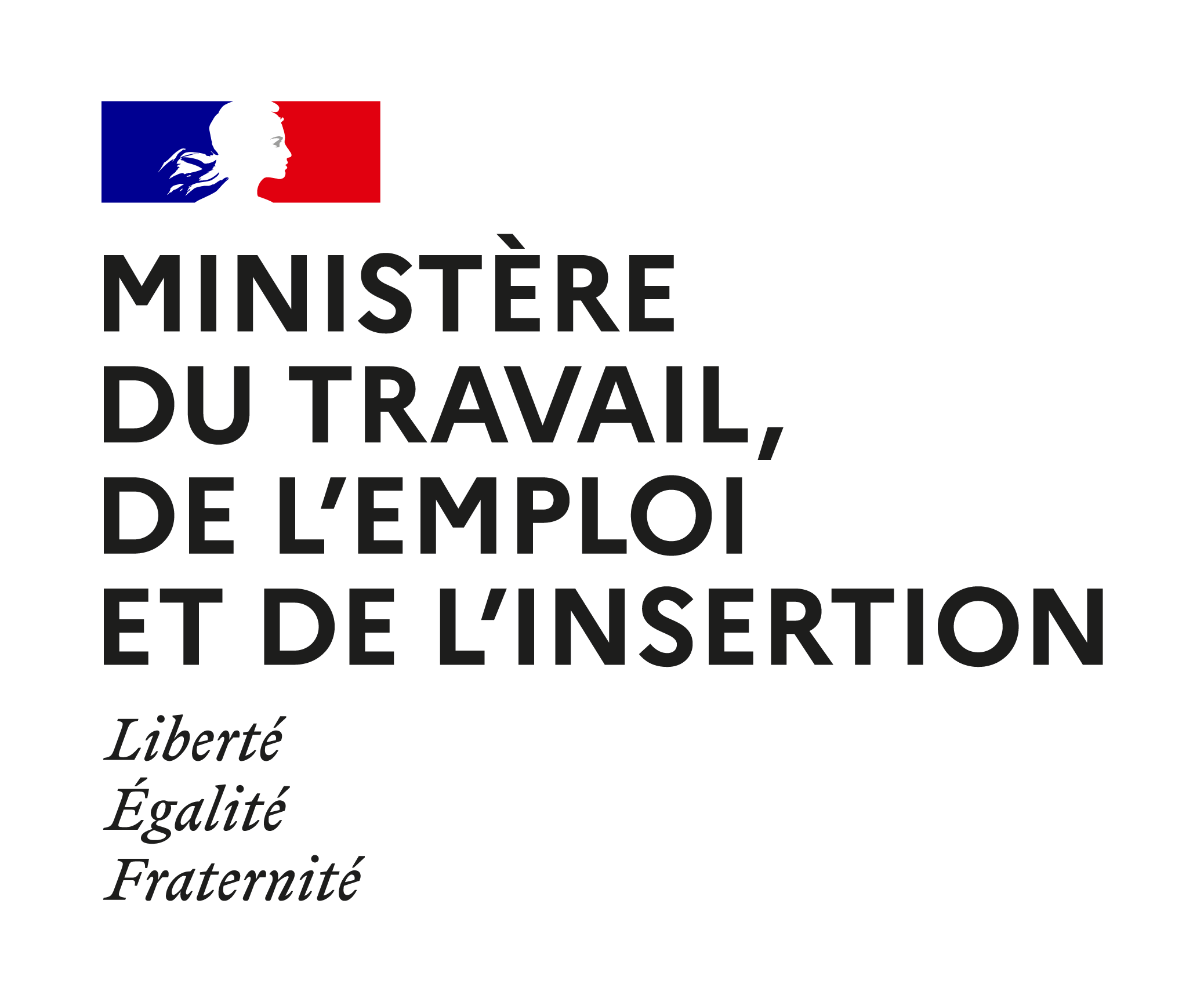 logo ministère du travail, de l'emploi et de l'insertion,